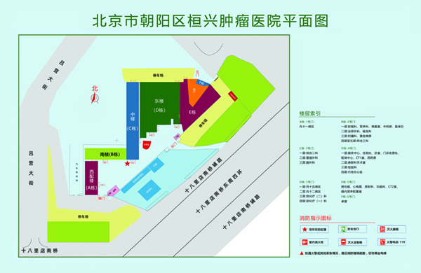 男女日大毛逼北京市朝阳区桓兴肿瘤医院平面图